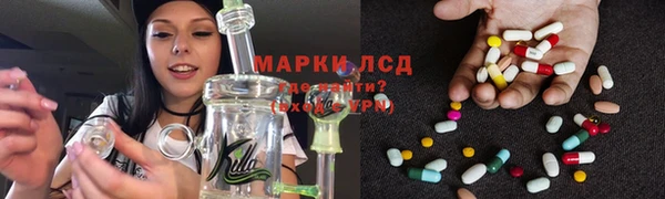 стаф Алзамай