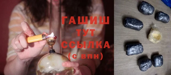 стаф Алзамай