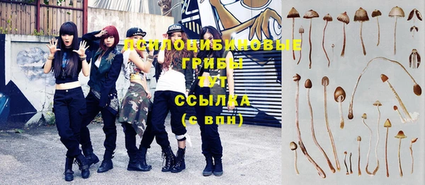 стаф Алзамай