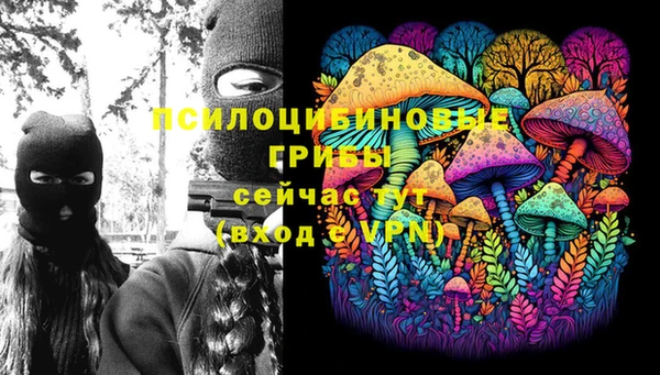 стаф Алзамай