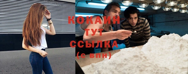 стаф Алзамай