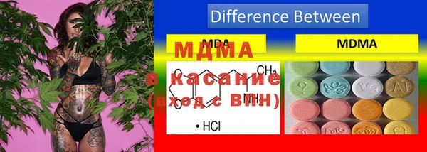 стаф Алзамай